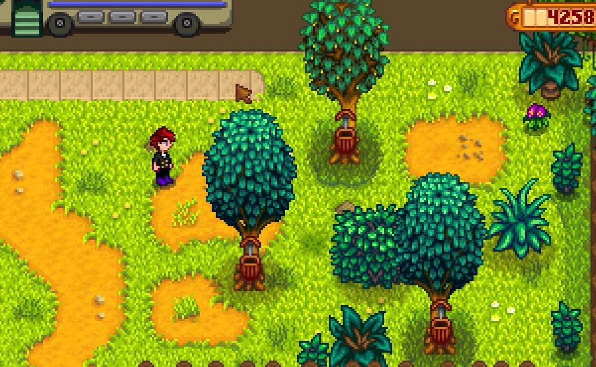 巫师3：狂猎 完整版 截图3