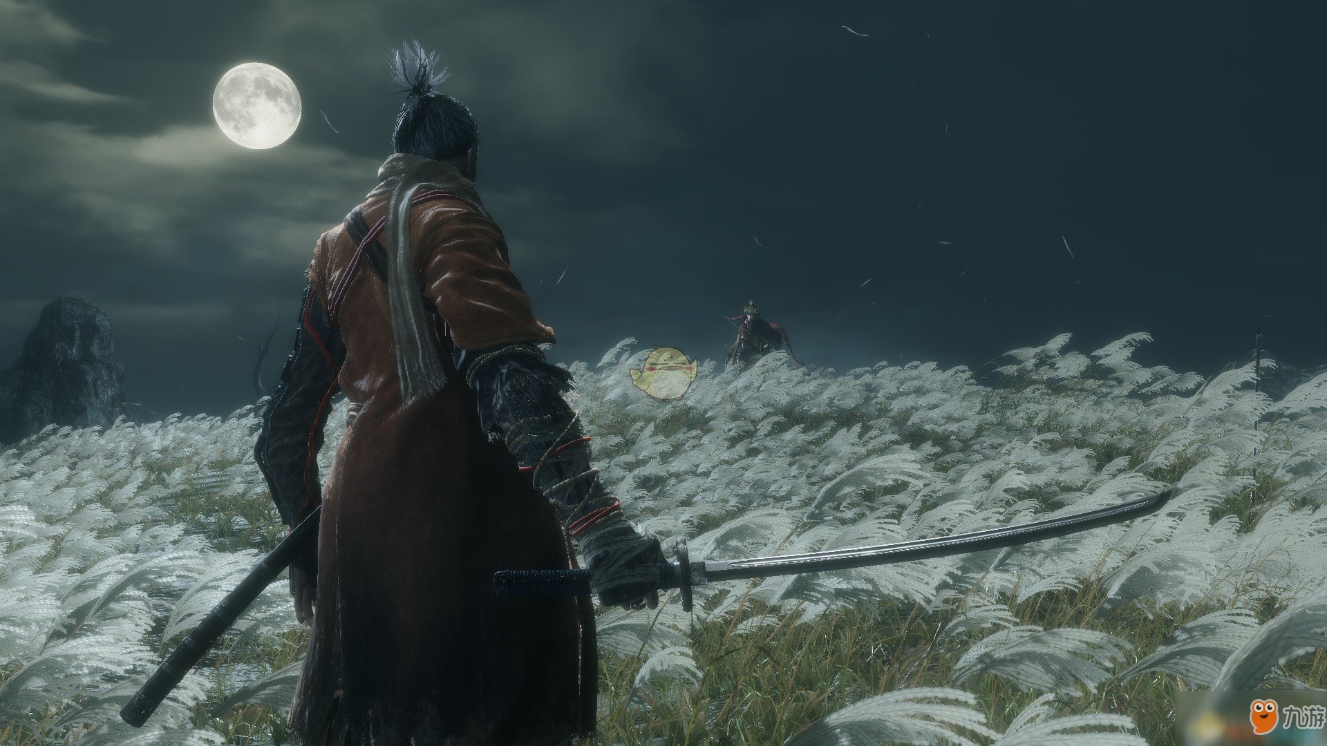 巫师3：狂猎 终极版 截图9