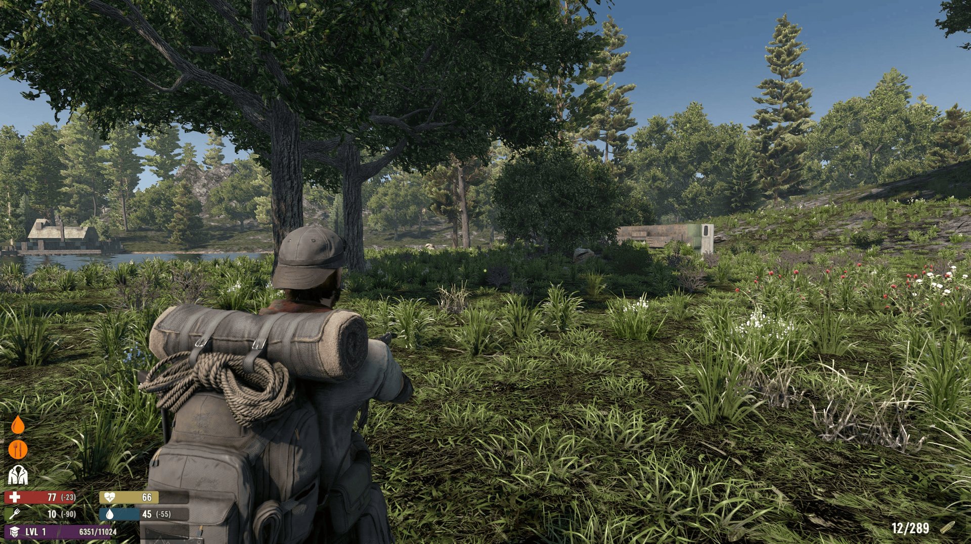 荒野大镖客2 终极版 截图4